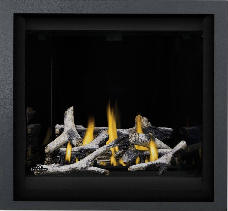 Napoleon Altitude 36-Inch Direct Vent Gas Fireplace AX36