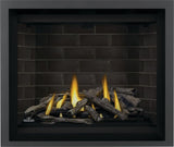 Napoleon Altitude 42-Inch Direct Vent Gas Fireplace AX42