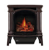 Napoleon Bayfield Direct Vent Gas Stove GDS25