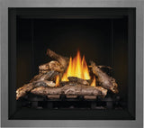 Napoleon Elevation 36-Inch Direct Vent Gas Fireplace E36