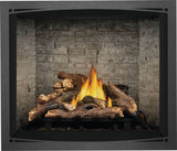 Napoleon Elevation 42-Inch Direct Vent Gas Fireplace E42