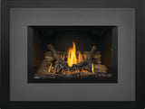 Napoleon Oakville 3 Direct Vent Gas Fireplace Insert GDI3NE