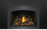 Napoleon Oakville 3 Direct Vent Gas Fireplace Insert GDI3NE