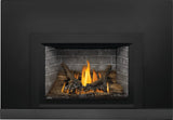 Napoleon Oakville 3 Direct Vent Gas Fireplace Insert GDI3NE