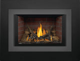 Napoleon Oakville 3 Direct Vent Gas Fireplace Insert GDI3NE