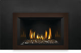 Napoleon Oakville 3 Glass Direct Vent Gas Fireplace Insert GDIG3N