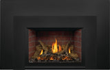 Napoleon Oakville X3 Direct Vent Gas Fireplace Insert GDIX3N