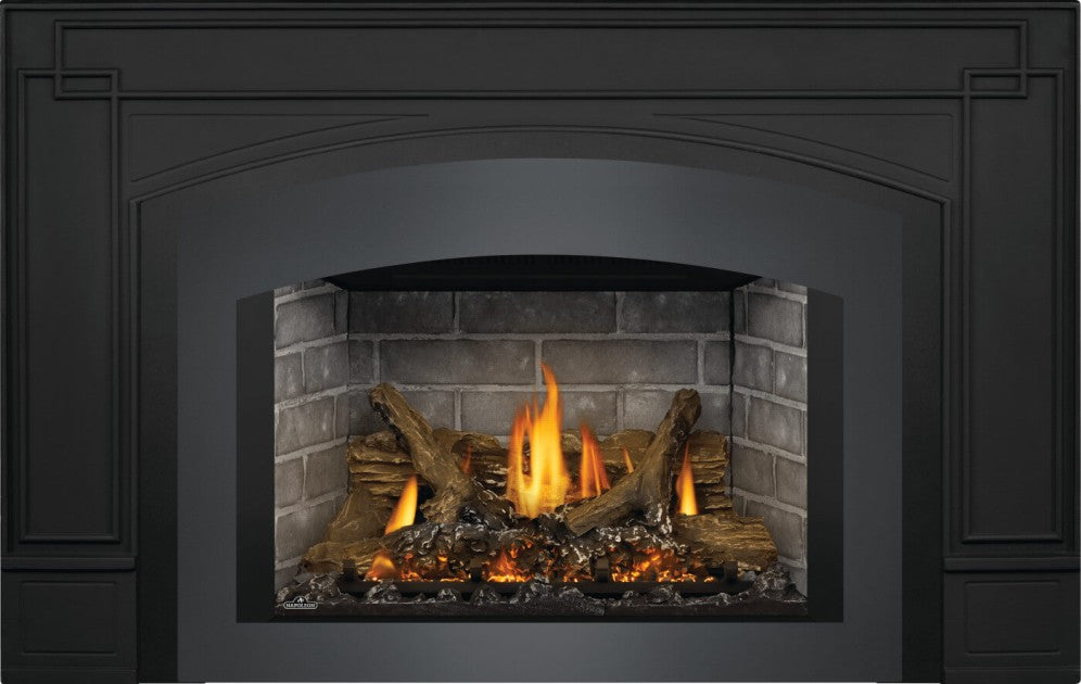 Napoleon Oakville X3 Direct Vent Gas Fireplace Insert GDIX3N