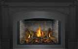 Napoleon Oakville X3 Direct Vent Gas Fireplace Insert GDIX3N