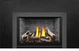 Napoleon Oakville X3 Direct Vent Gas Fireplace Insert GDIX3N