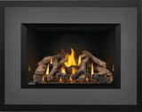 Napoleon Oakville X4 Direct Vent Gas Fireplace Insert GDIX4N