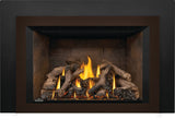 Napoleon Oakville X4 Direct Vent Gas Fireplace Insert GDIX4N