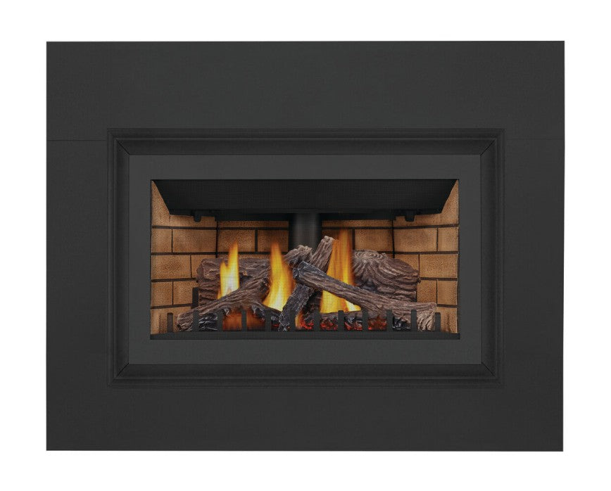 Napoleon Inspiration ZC Direct Vent Gas Insert Fireplace GDIZC