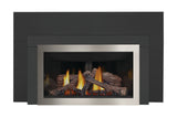 Napoleon Inspiration ZC Direct Vent Gas Insert Fireplace GDIZC