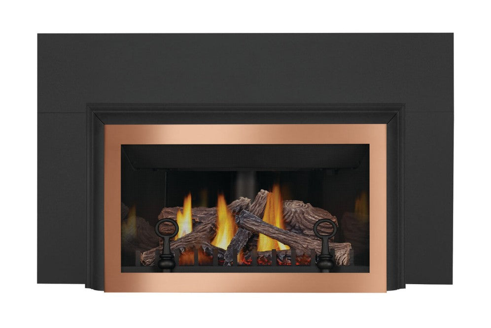 Napoleon Inspiration ZC Direct Vent Gas Insert Fireplace GDIZC