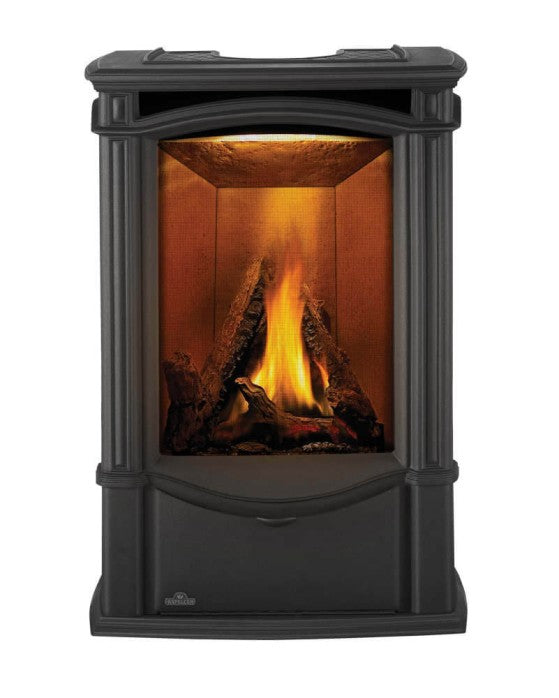 Napoleon Castlemore Direct Vent Gas Stove GDS26