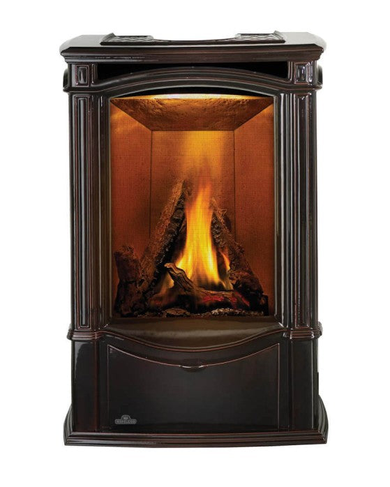 Napoleon Castlemore Direct Vent Gas Stove GDS26