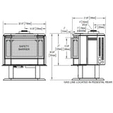 Napoleon Havelock Direct Vent Gas Stove GDS50