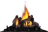 Napoleon Riverside Series 42 Clean Face Millivolt Ignition Outdoor Gas Fireplace GSS42