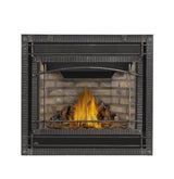 Napoleon Ascent X Series 36-Inch Direct Vent Gas Fireplace GX36