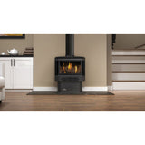 Napoleon Haliburton Direct Vent Gas Stove GDS28