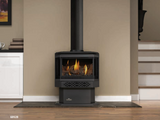 Napoleon Haliburton Direct Vent Gas Stove GDS28