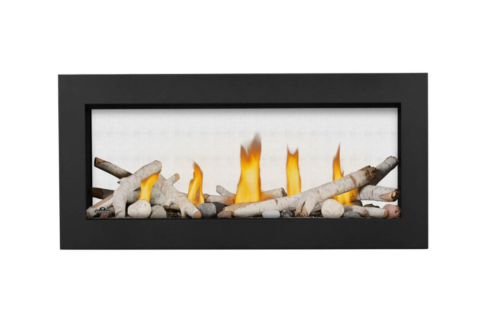 Napoleon Vector Series 38-Inch See Through Direct Vent Gas Fireplace with Electronic Ignition LV38