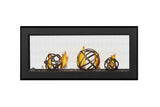 Napoleon Vector Series 38-Inch See Through Direct Vent Gas Fireplace with Electronic Ignition LV38