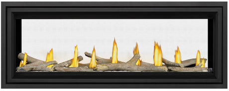 Napoleon Vector Series 50-Inch See Through Direct Vent Gas Fireplace with Electronic Ignition LV50