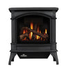 Napoleon Knightsbridge Direct Vent Gas Stove GDS60