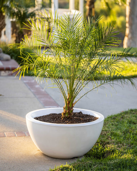 The Outdoor Plus 38" Luna GFRC Concrete Round Planter Bowl OPT-LUNPO38