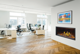 Napoleon Tall Linear Vector Series 62-Inch with Luminous Logs Direct Vent Gas Fireplace TLV62L