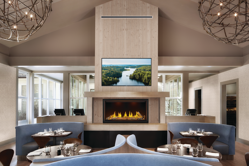 Napoleon Tall Linear Vector Series 50-Inch with Luminous Logs Direct Vent Gas Fireplace TLV50L